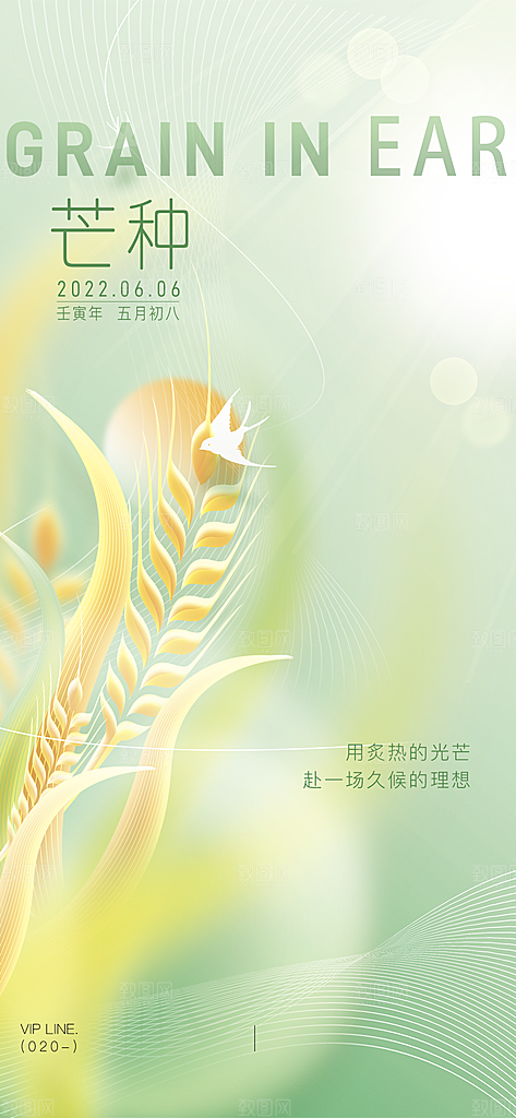 中国传统节气芒种简约手机海报