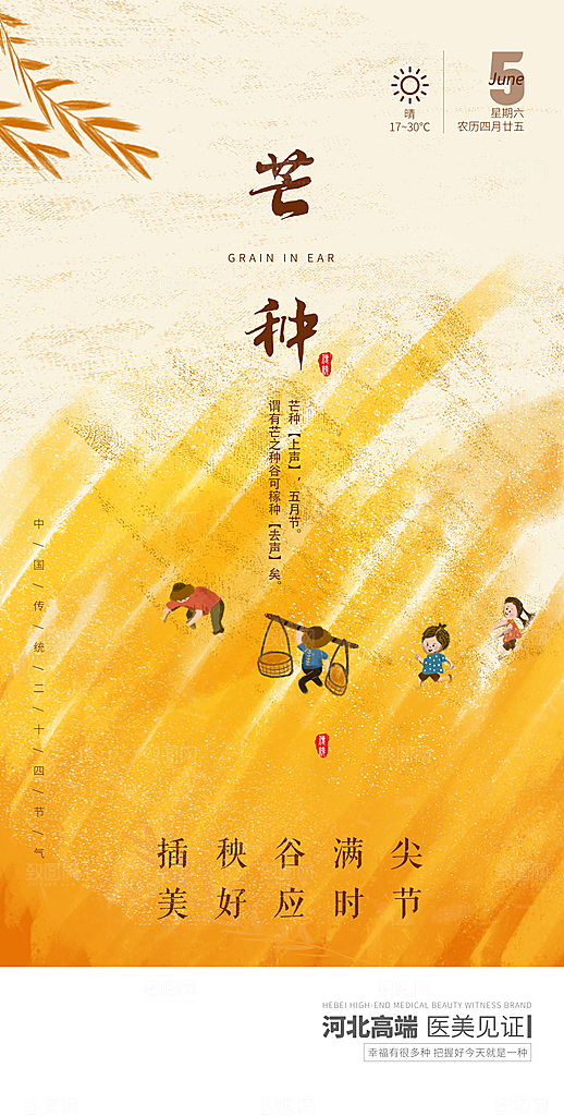 中国传统节气芒种简约手机海报