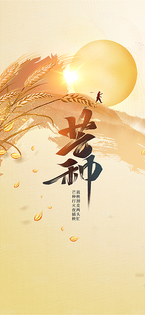 中国传统节气芒种简约手机海报