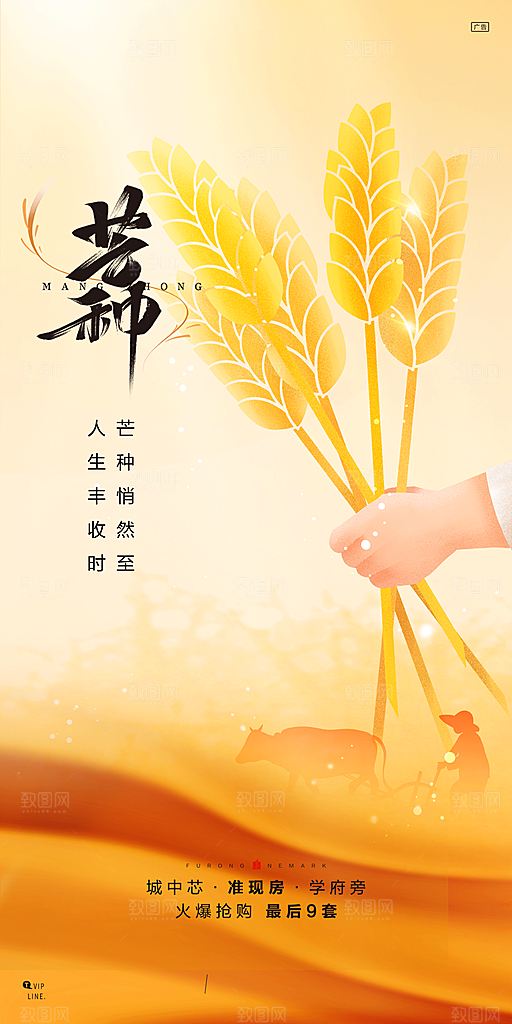 中国传统节气芒种简约手机海报