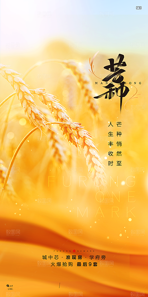 中国传统节气芒种简约手机海报