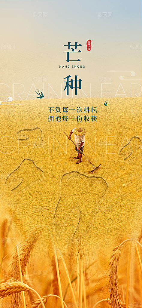 中国传统节气芒种简约手机海报