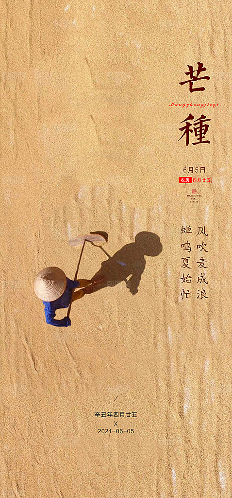 中国传统节气芒种简约手机海报