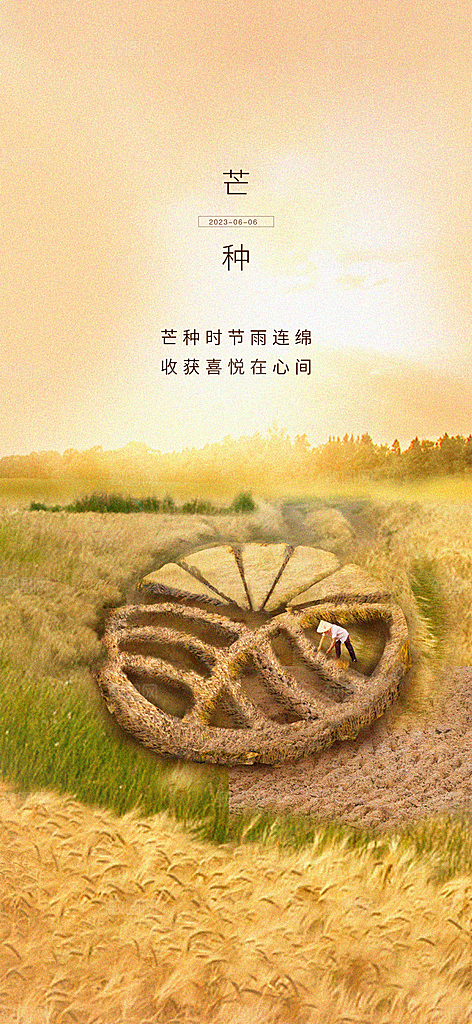 中国传统节气芒种简约手机海报
