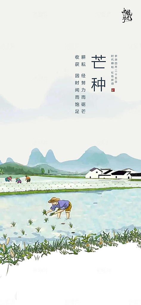 中国传统节气芒种简约手机海报