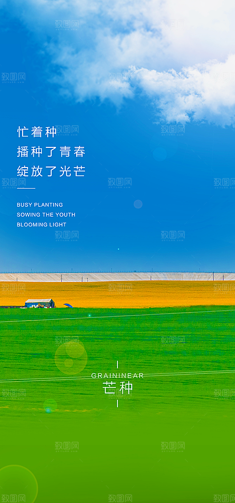 中国传统节气芒种简约手机海报