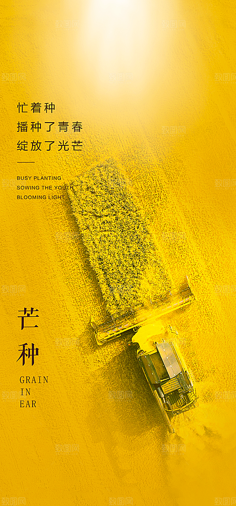 中国传统节气芒种简约手机海报