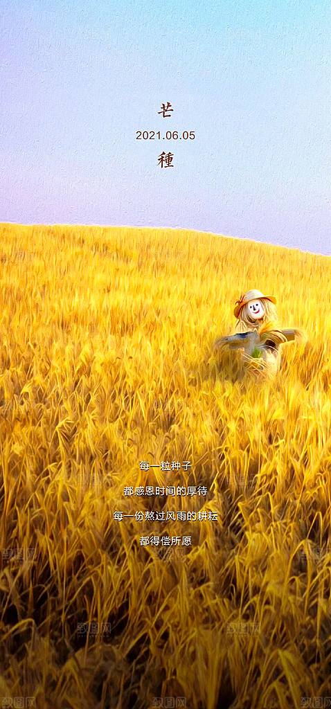 中国传统节气芒种简约手机海报