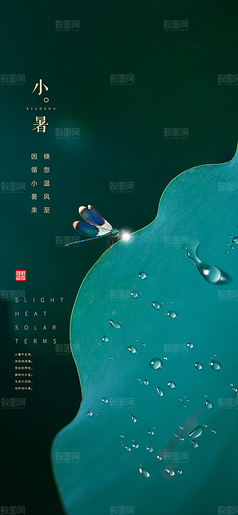 中国传统节气小暑简约手机海报