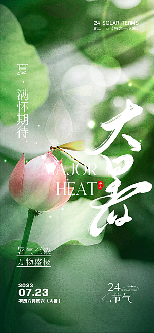 中国传统节气小暑简约手机海报