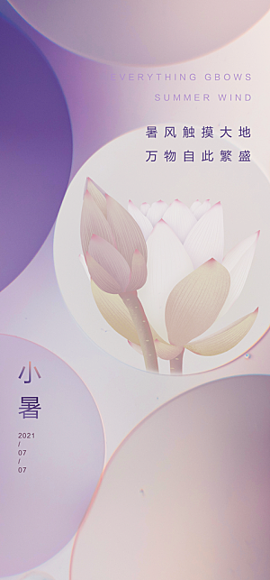 中国传统节气小暑简约手机海报