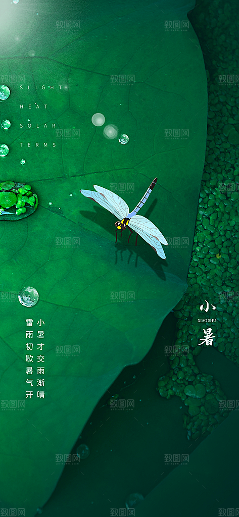 中国传统节气小暑简约手机海报