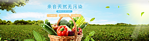 生鲜果蔬banner