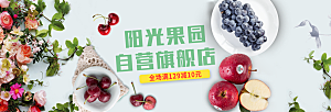 生鲜果蔬banner