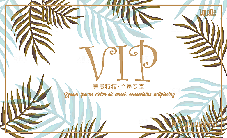 VIP卡会员卡贵宾卡