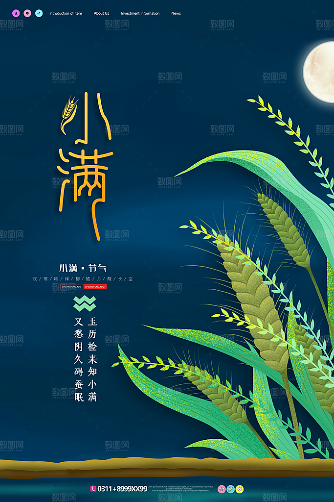 传统节气小满宣传海报