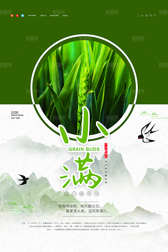 传统节气小满宣传海报