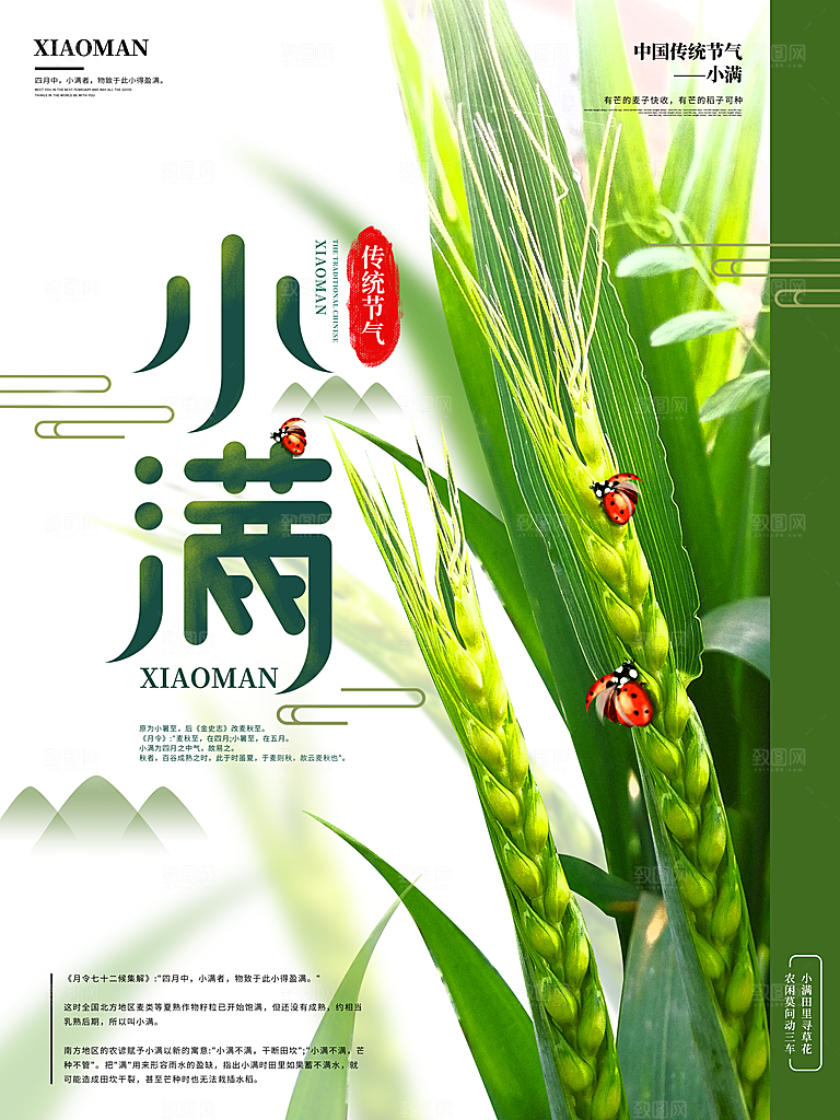 传统节气小满宣传海报