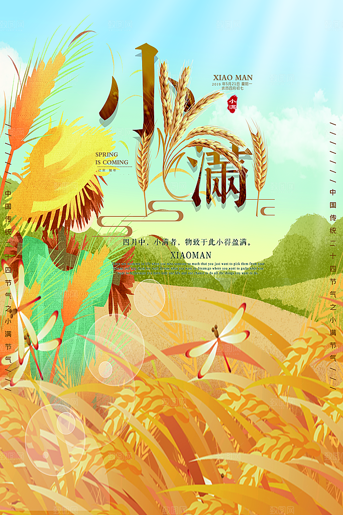 传统节气小满宣传海报