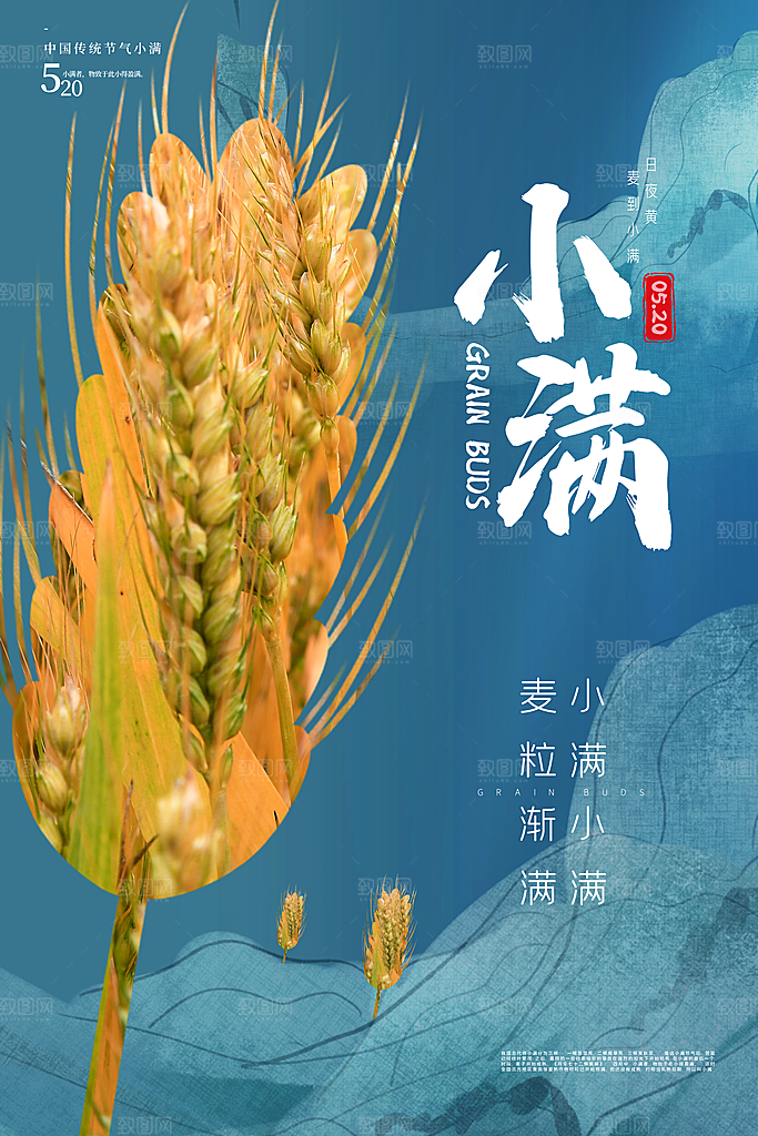 传统节气小满宣传海报