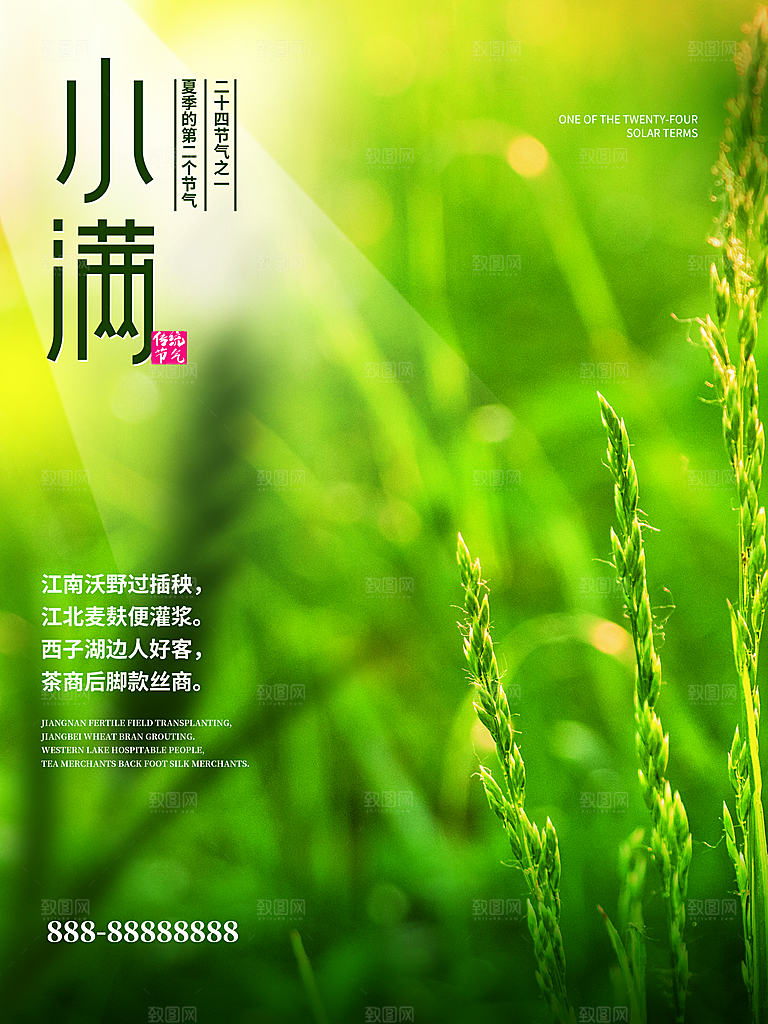 传统节气小满宣传海报