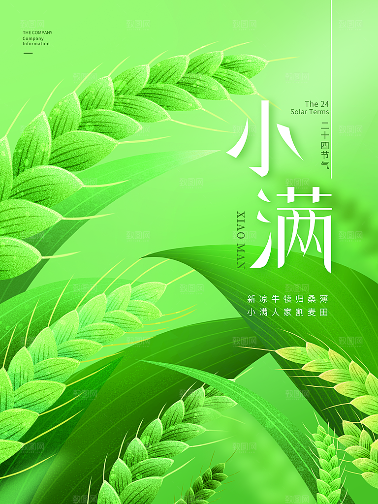 传统节气小满宣传海报