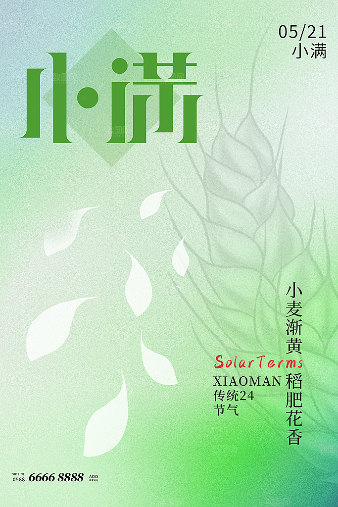 传统节气小满宣传海报