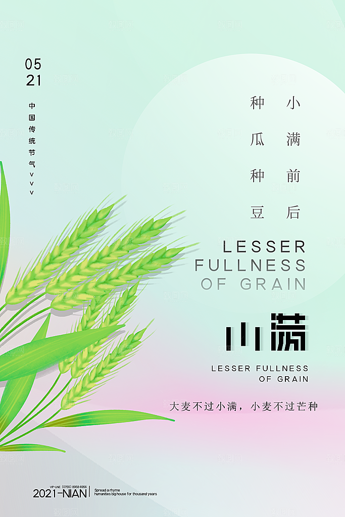 传统节气小满宣传海报