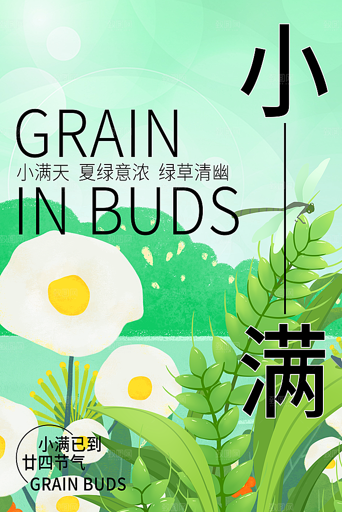 传统节气小满宣传海报