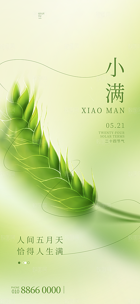 传统节气小满宣传海报