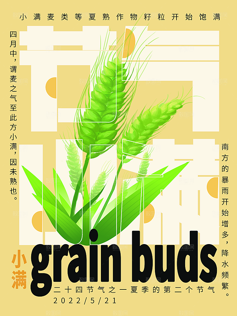传统节气小满宣传海报