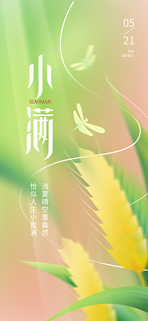 传统节气小满宣传海报