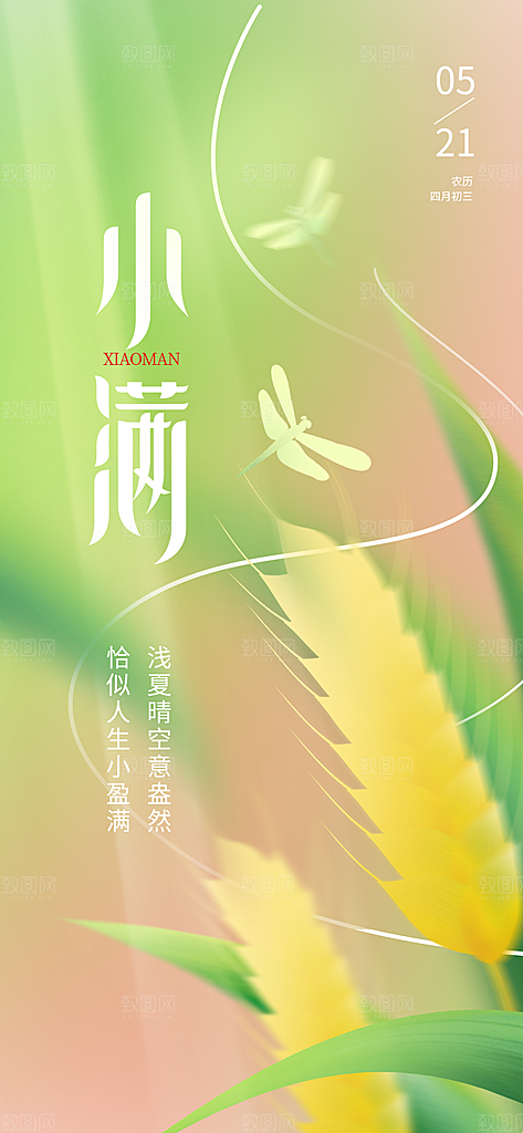传统节气小满宣传海报