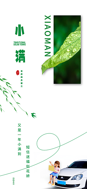 传统节气小满宣传海报