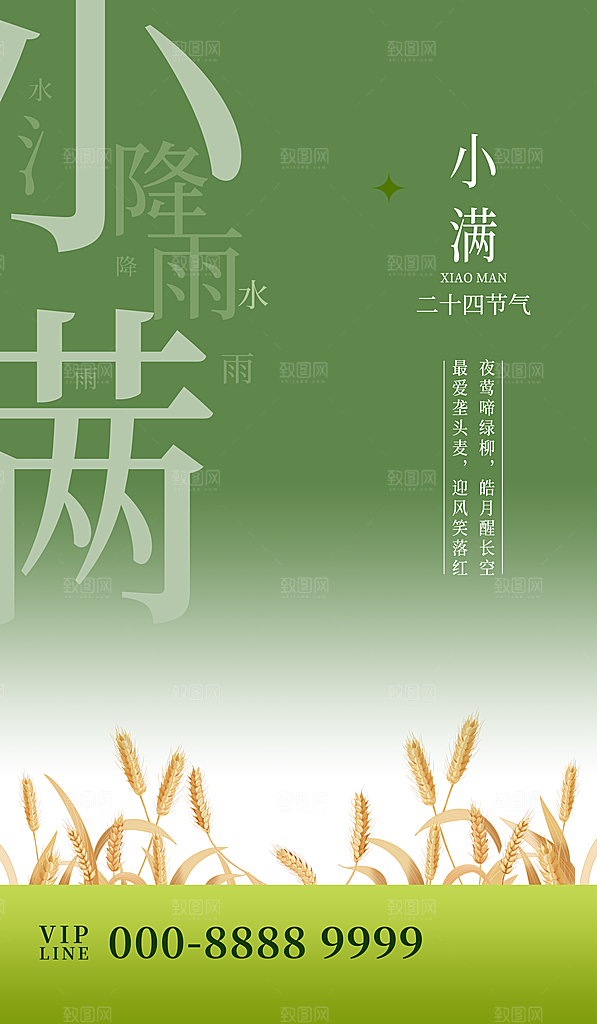 传统节气小满宣传海报