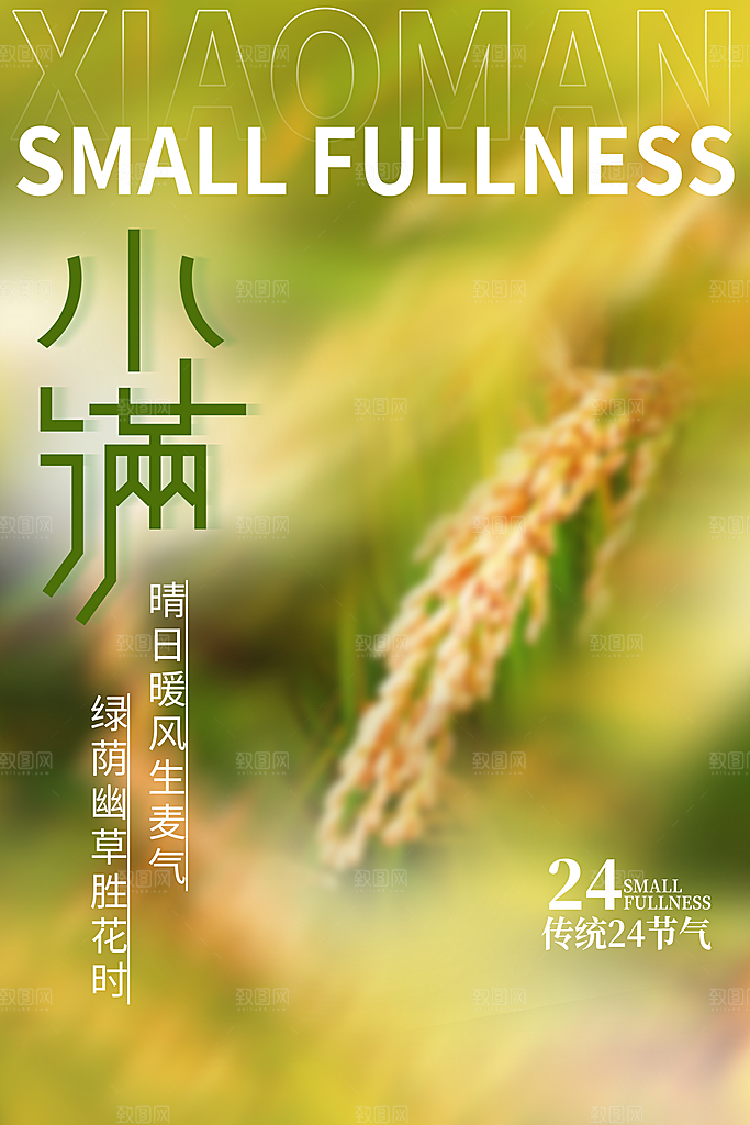 传统节气小满宣传海报