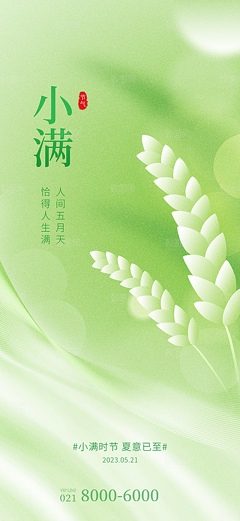 传统节气小满宣传海报