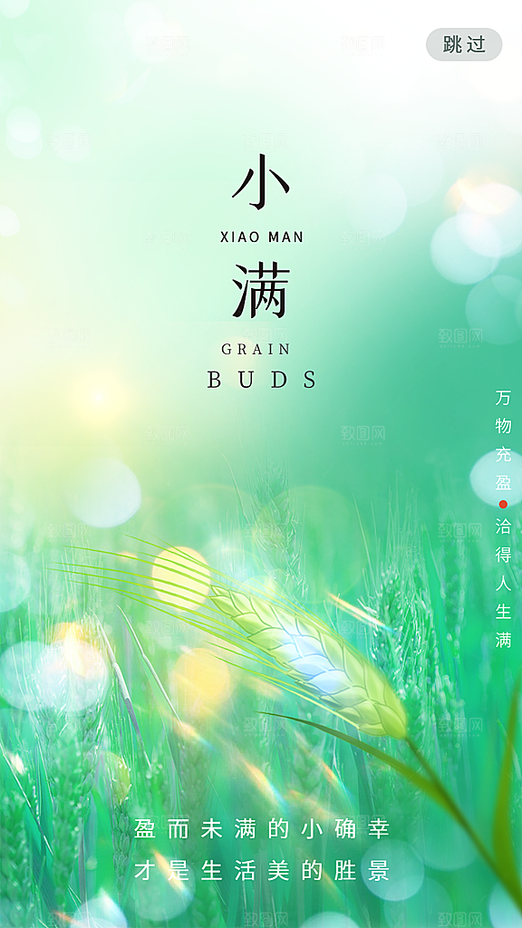 传统节气小满宣传海报