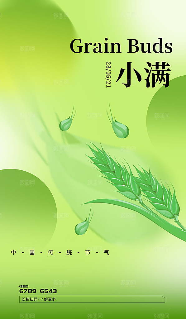 传统节气小满宣传海报