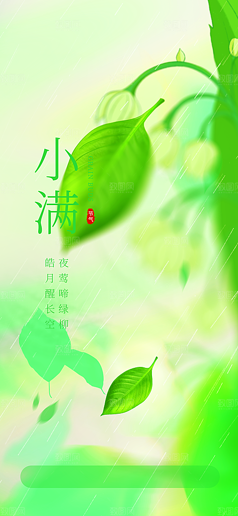 传统节气小满宣传海报