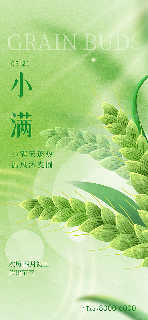 传统节气小满宣传海报