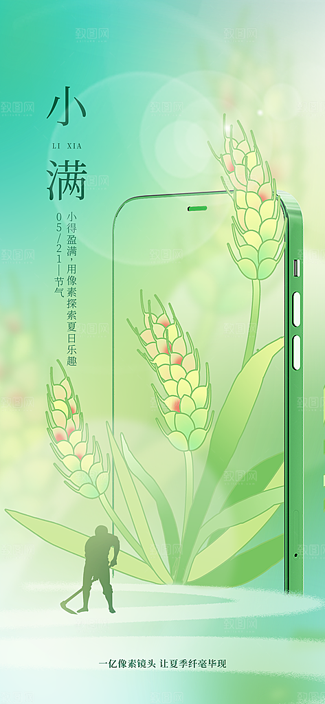 传统节气小满宣传海报