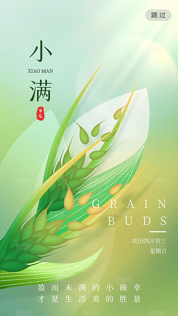传统节气小满宣传海报