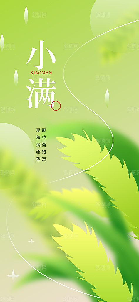传统节气小满宣传海报