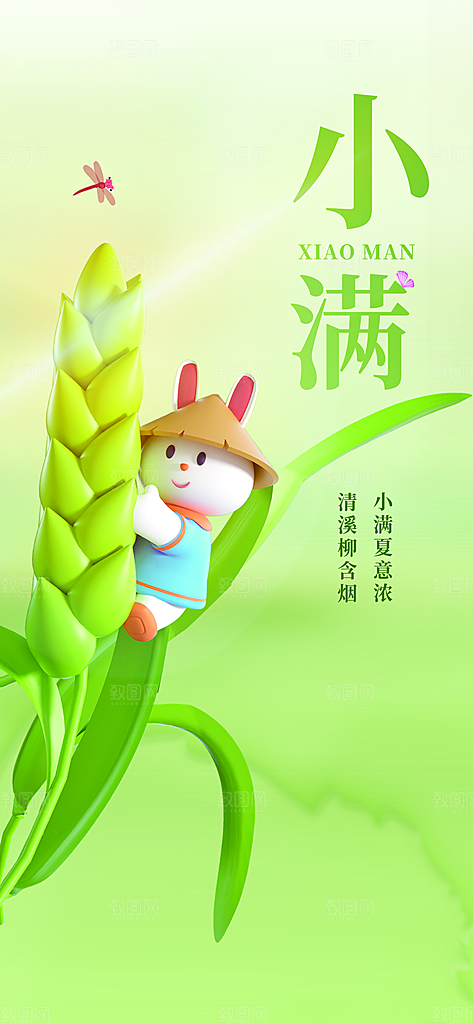 传统节气小满宣传海报