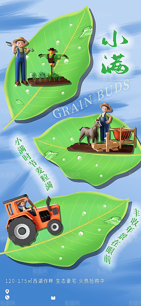 传统节气小满宣传海报