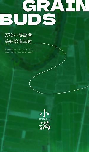 传统节气小满宣传海报