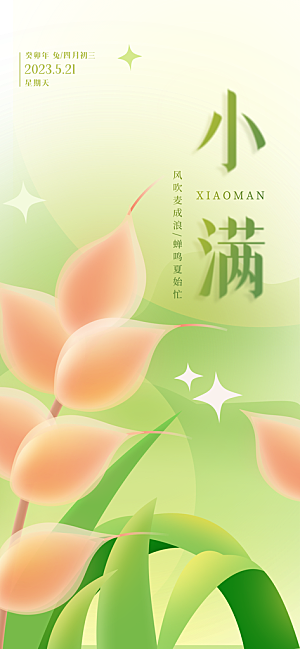 传统节气小满宣传海报