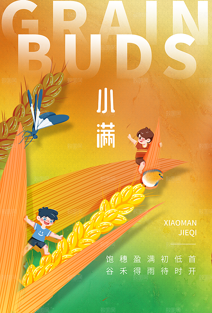 传统节气小满宣传海报