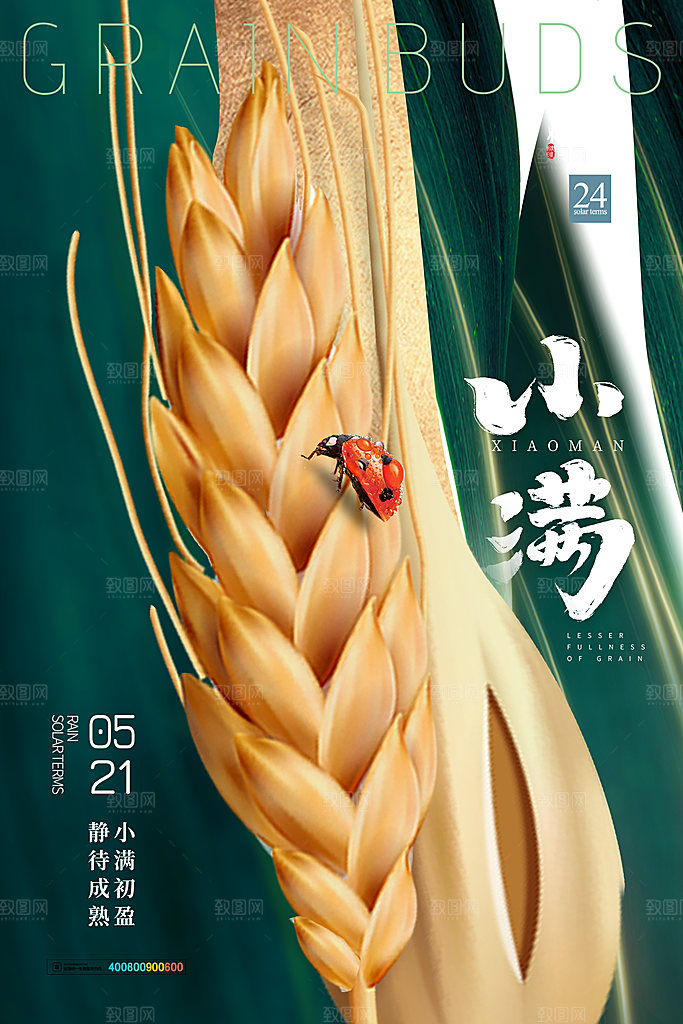 传统节气小满宣传海报